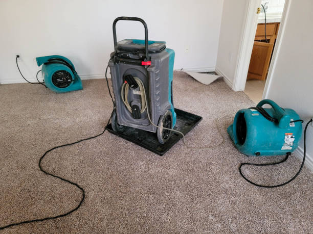 Best Carpet water damage restoration  in Tellico Village, TN