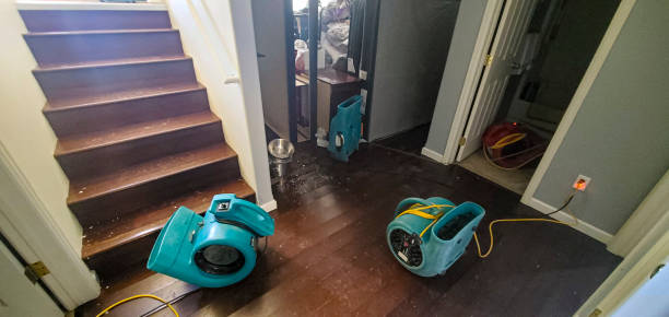 Local water damage restoration in TN