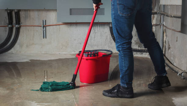 Best Sewage cleanup and water damage restoration  in Tellico Village, TN