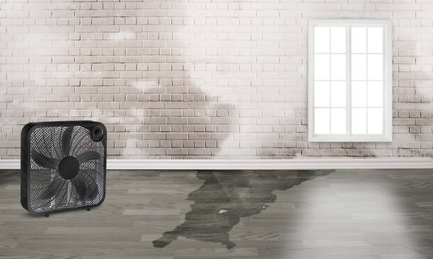 Best Water damage restoration near me  in Tellico Village, TN