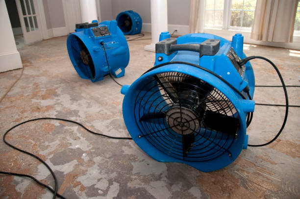 Best Water damage contractors near me  in Tellico Village, TN