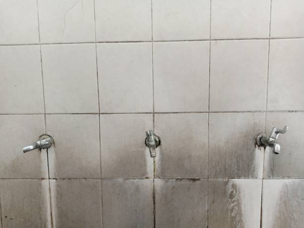 Best Fire Damage Restoration  in Tellico Village, TN