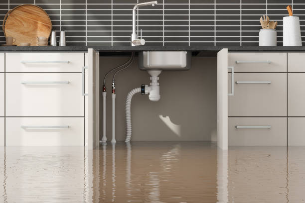 Best Basement water damage restoration  in Tellico Village, TN