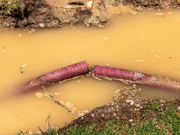 Reliable TN Water damage restoration Solutions
