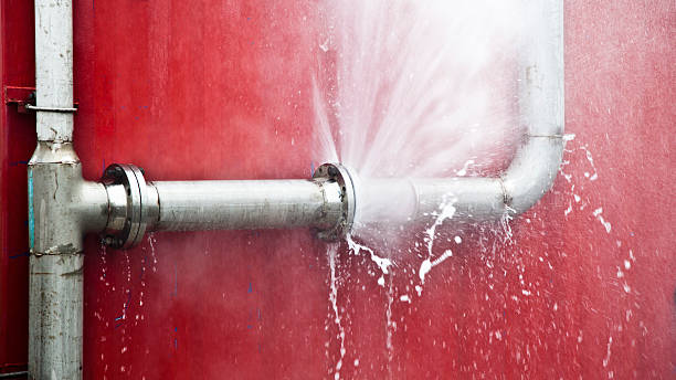 Best Local water damage restoration  in Tellico Village, TN