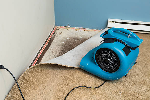 Best Commercial water damage restoration  in Tellico Village, TN