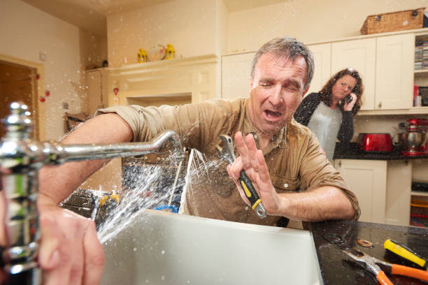 Best Mold removal after water damage  in Tellico Village, TN